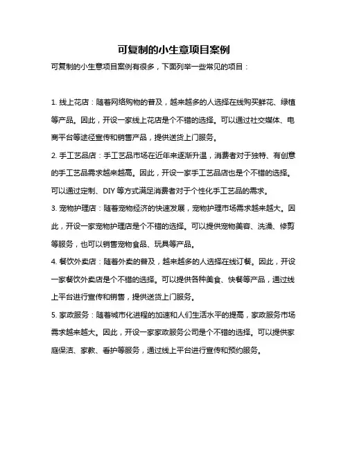 可复制的小生意项目案例