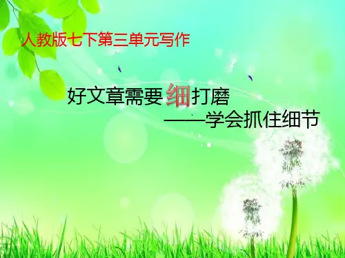第三单元写作《抓住细节》课件(共18张ppt)+++2022-2023学年统编版语文七年级下册