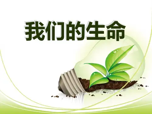 《我们的生命》珍爱生命PPT课件2 (共19张PPT)
