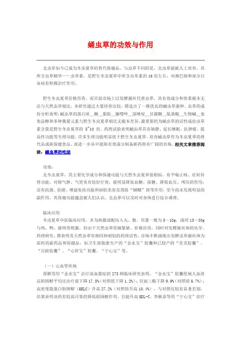 蛹虫草的功效与作用