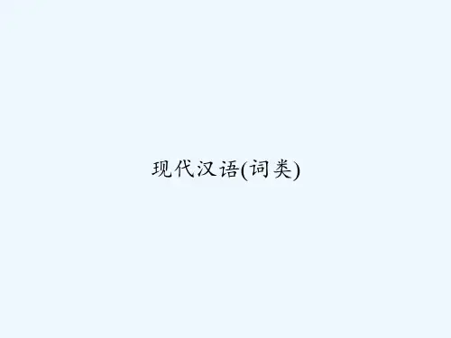 现代汉语(词类) PPT