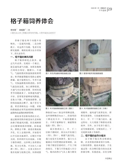 格子箱饲养体会