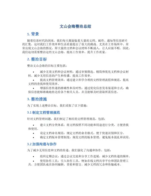 文山会海整治总结