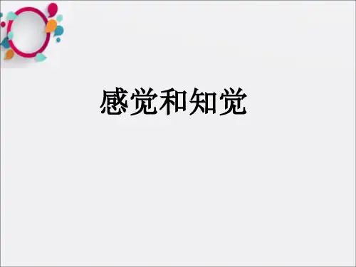 认知心理学感觉和知觉