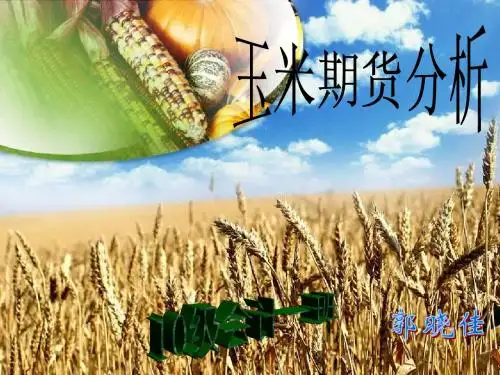 玉米期货分析
