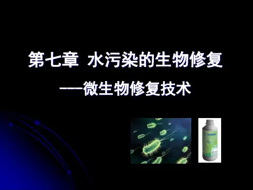生物修复--微生物技术