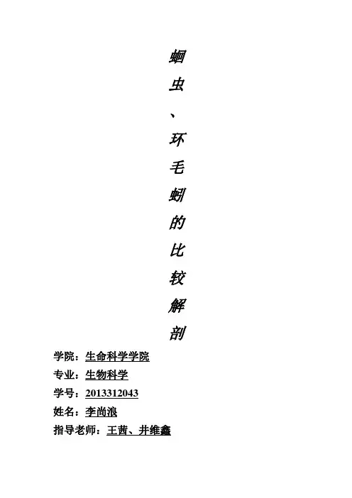 蛔虫与蚯蚓的解剖解剖比较