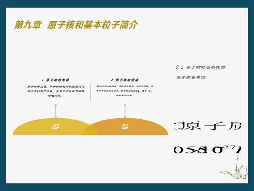 原子核和基本粒子简介
