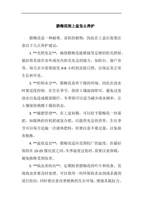 腊梅花刚上盆怎么养护
