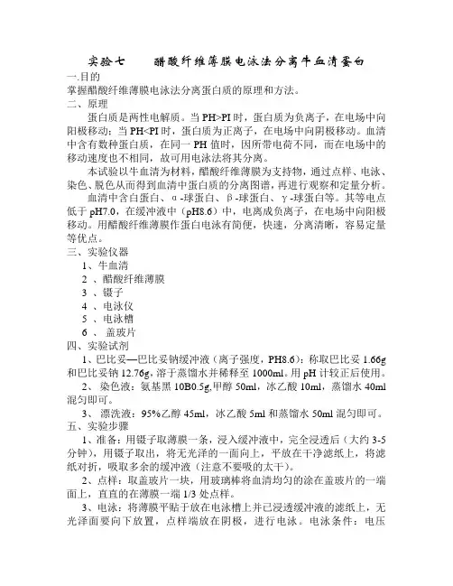 实验七    醋酸纤维薄膜电泳法分离牛血清蛋白