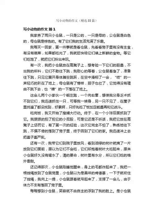 写小动物的作文（精选85篇）