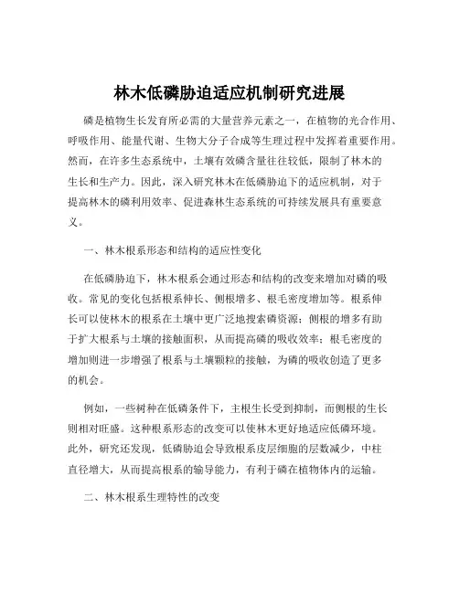 林木低磷胁迫适应机制研究进展