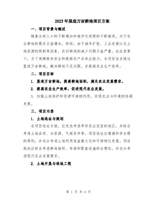 2023年垦造万亩耕地项目方案