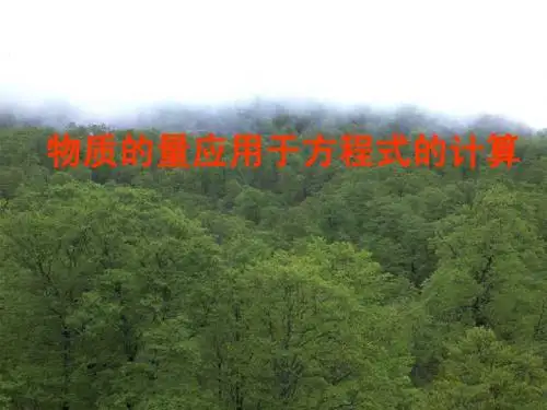 物质的量应用于方程式的计算