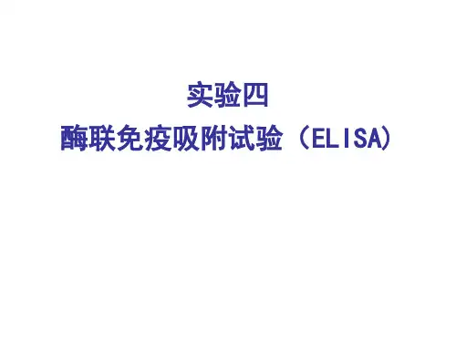 酶联免疫吸附试验ELISA.ppt