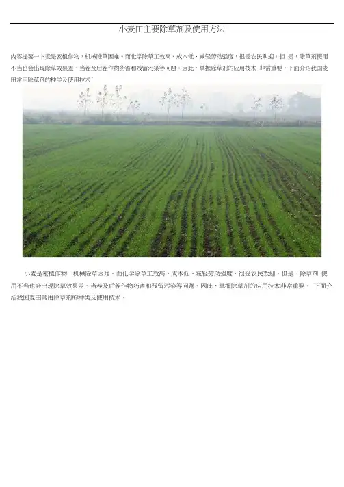 小麦田主要除草剂及使用方法