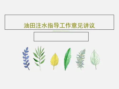 油田注水指导工作意见讲议共59页PPT