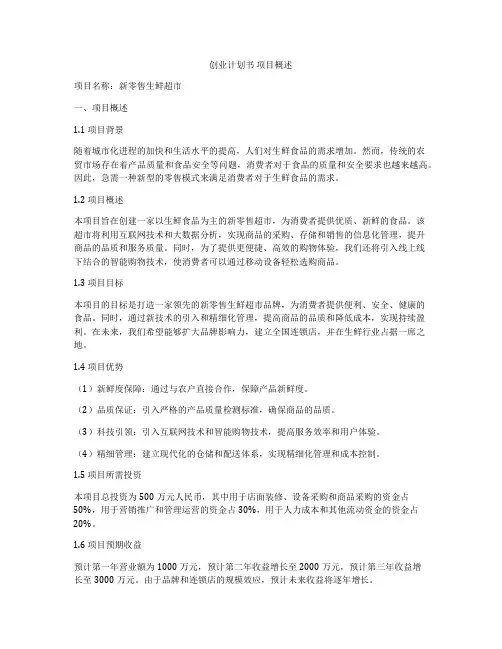 创业计划书 项目概述