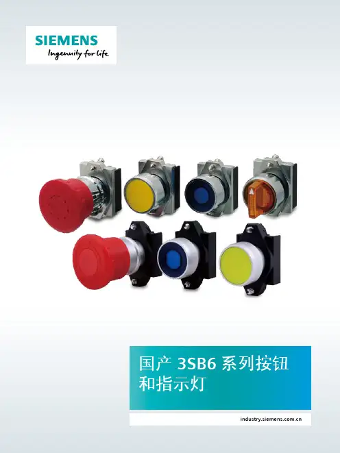 国产3SB6系列按钮