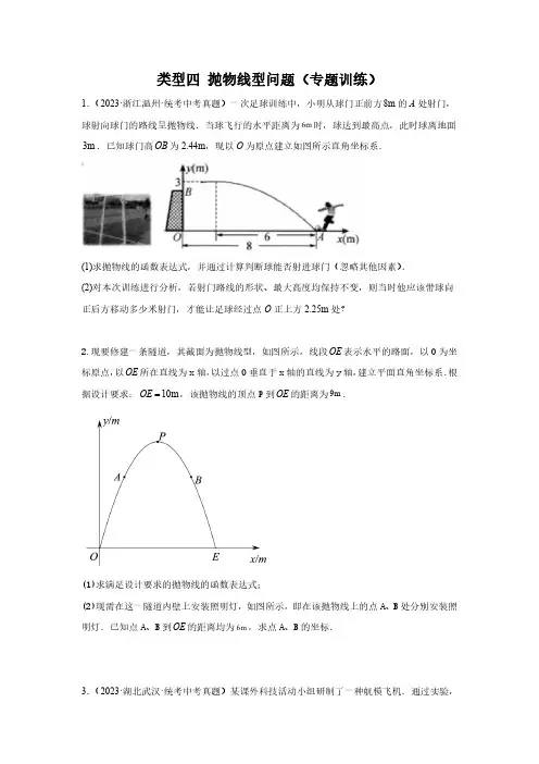 题型八抛物线型问题(专题训练)-2024年中考数学二轮复习满分冲刺题型突破(全国通用)(原卷版)