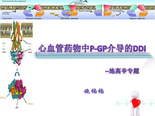p-gp(P-糖蛋白药物相互作用)