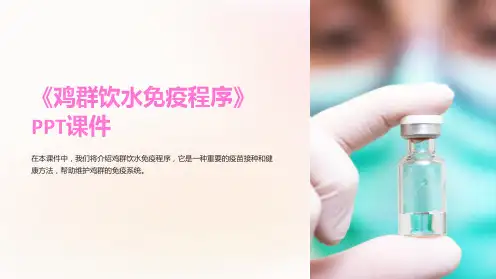 《鸡群饮水免疫程序》课件