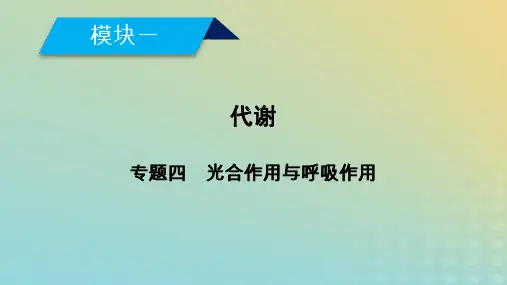 2019高考生物大二轮复习专题四光合作用与呼吸作用课件