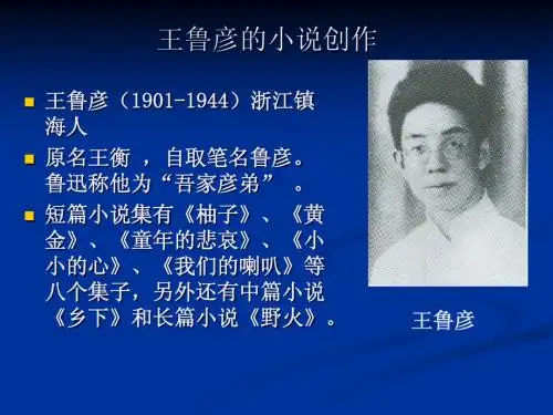 (8)乡土小说2