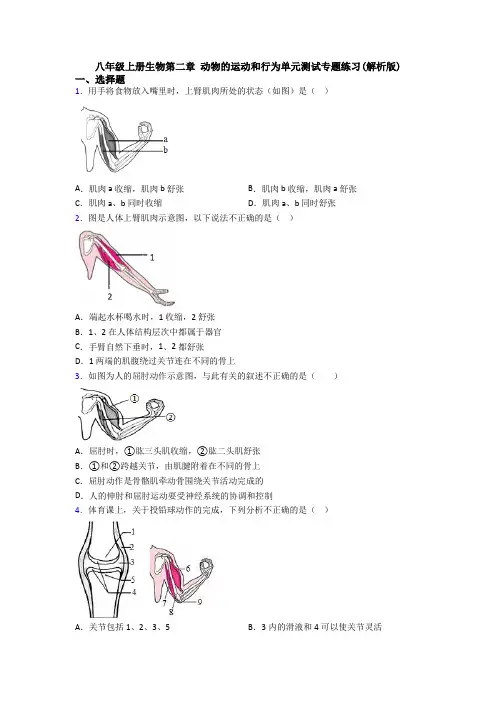 八年级上册生物第二章 动物的运动和行为单元测试专题练习(解析版)