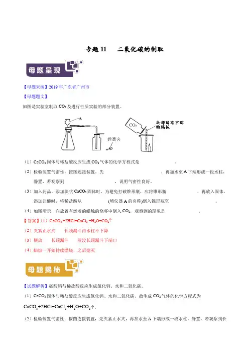 21.中考化学专题11 二氧化碳的制取 (解析版)