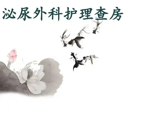 泌尿外科护理查房