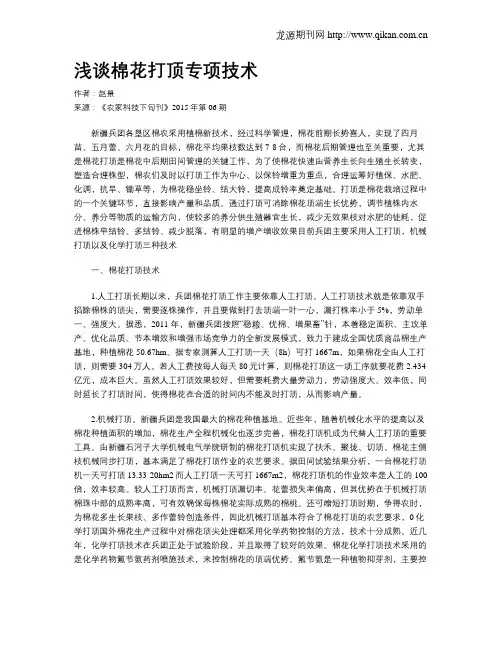 浅谈棉花打顶专项技术