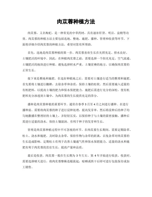 肉苁蓉种植方法