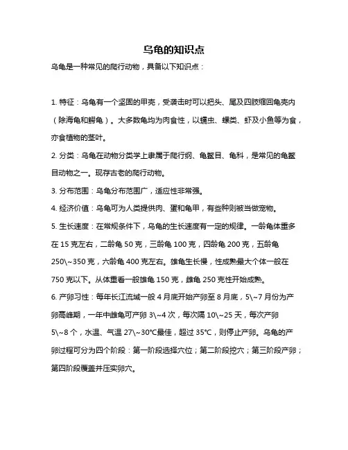 乌龟的知识点
