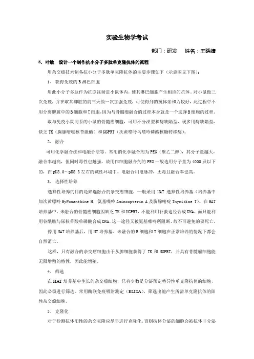 设计一个制作抗小分子多肽单克隆抗体的流程