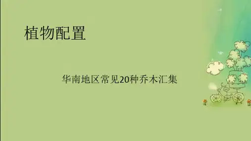 华南地区植物配置(20种)
