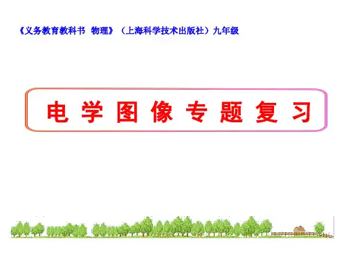 沪科版九年级全一册物理   电学图像专题复习  课件(共20张PPT)