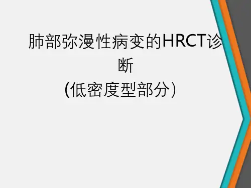 肺部弥漫性病变的HRCT诊断中的低密度影部分解析