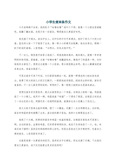 小学生煮面条作文