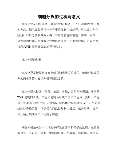 细胞分裂的过程与意义