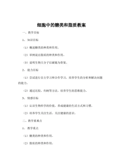 细胞中的糖类和脂质教案