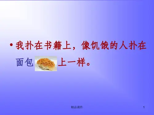 面包发霉了ppt课件