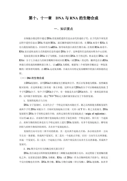 生物化学习题-第十、十一章：DNA与RNA的生物合成
