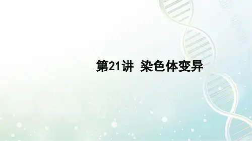 高三生物一轮复习精品课件5：第21讲 染色体变异