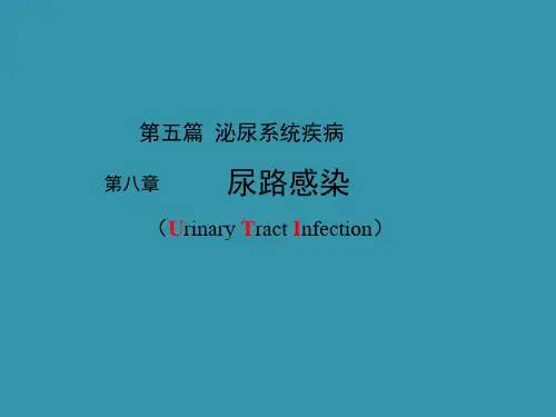 内科学——尿路感染PPT课件