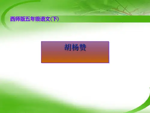 《胡杨赞》PPT课件2 (共17张PPT)