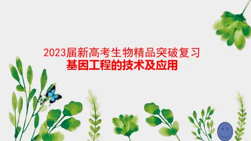2023届新高考生物精品突破复习：基因工程的技术及应用