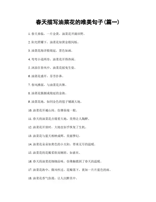 春天描写油菜花的唯美句子(精选两篇)