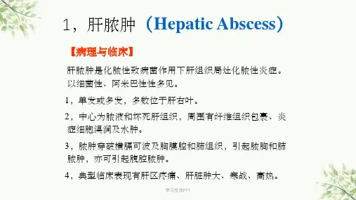 肝脓肿影像学诊断课件