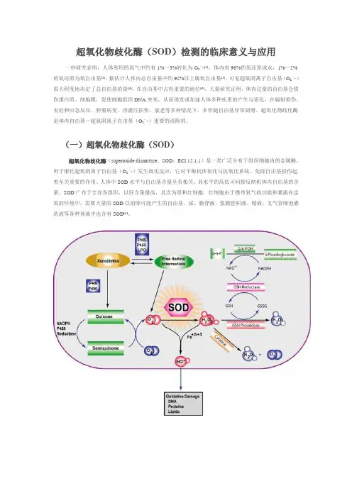 SOD检测的临床意义与应用